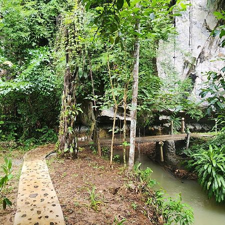 ผาเงิน รีสอร์ท Hotel Khao Sok National Park ห้อง รูปภาพ