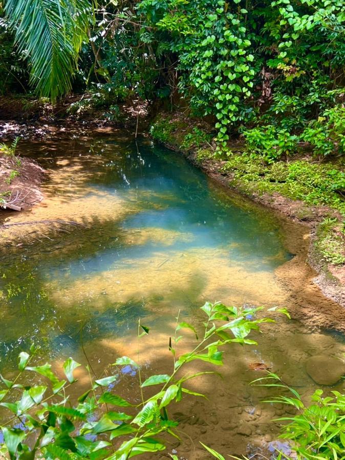 ผาเงิน รีสอร์ท Hotel Khao Sok National Park ภายนอก รูปภาพ