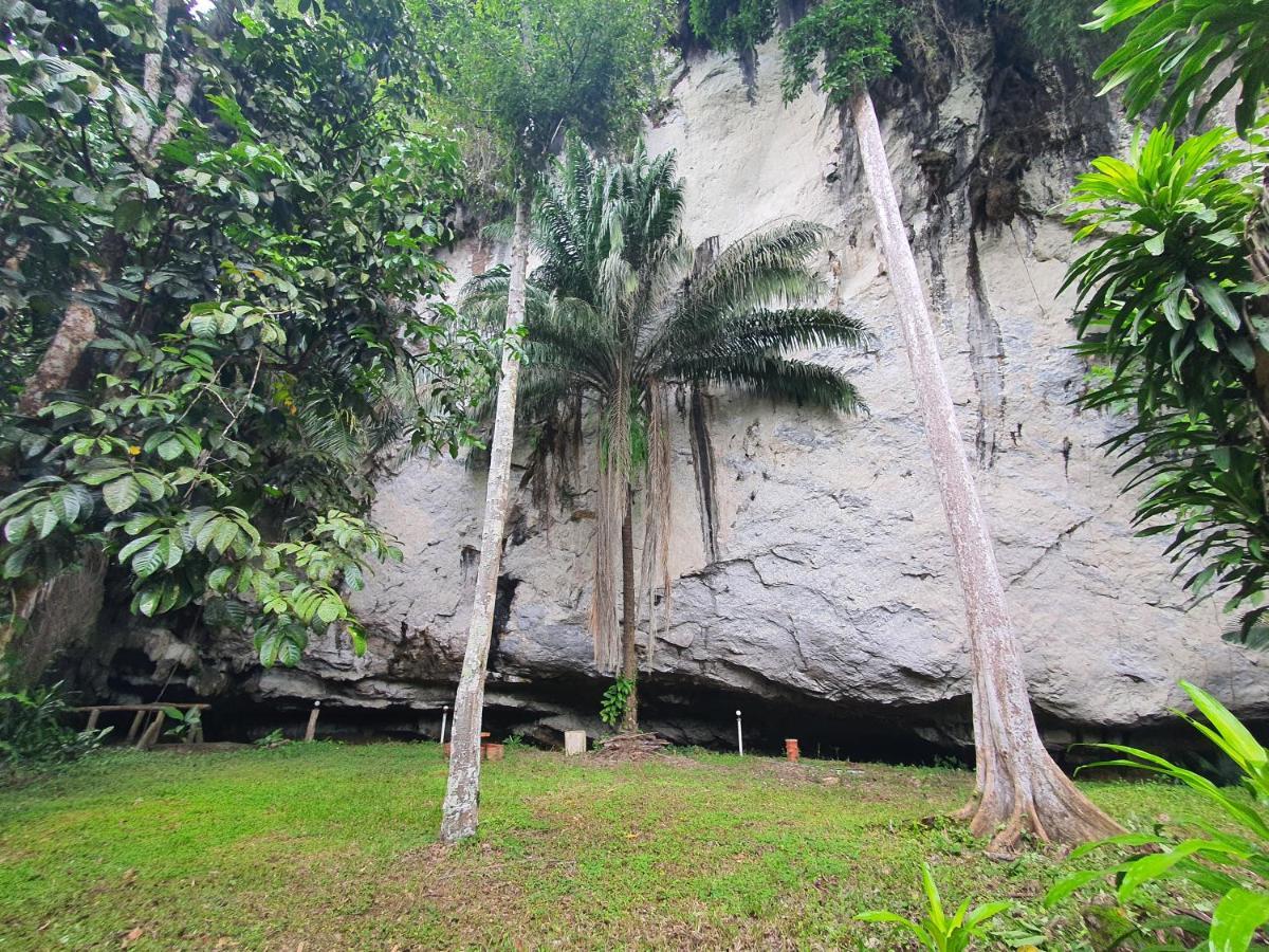 ผาเงิน รีสอร์ท Hotel Khao Sok National Park ภายนอก รูปภาพ