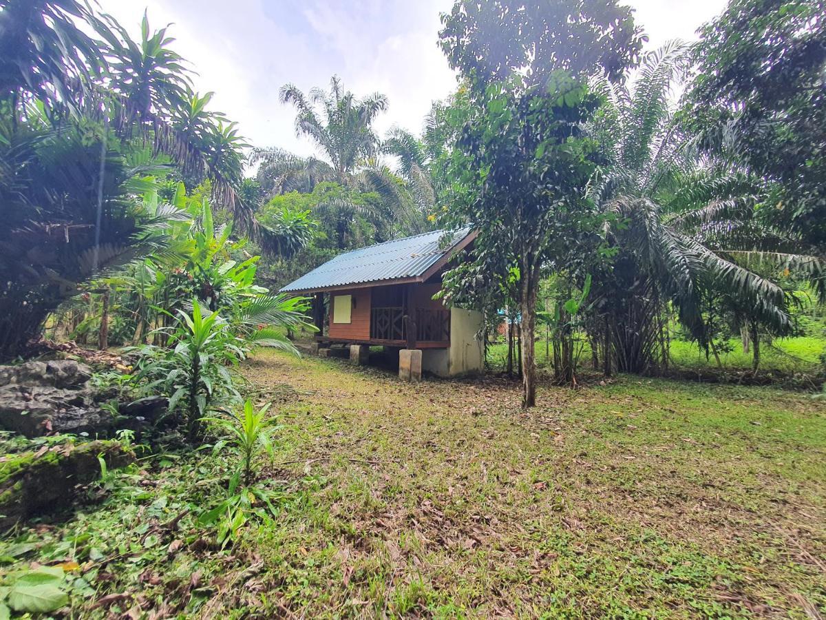 ผาเงิน รีสอร์ท Hotel Khao Sok National Park ภายนอก รูปภาพ