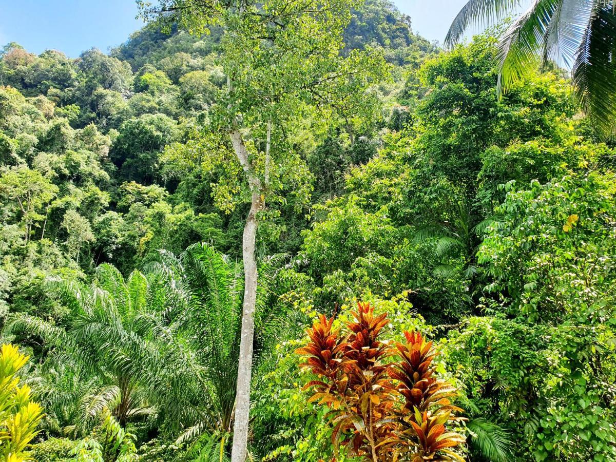 ผาเงิน รีสอร์ท Hotel Khao Sok National Park ห้อง รูปภาพ