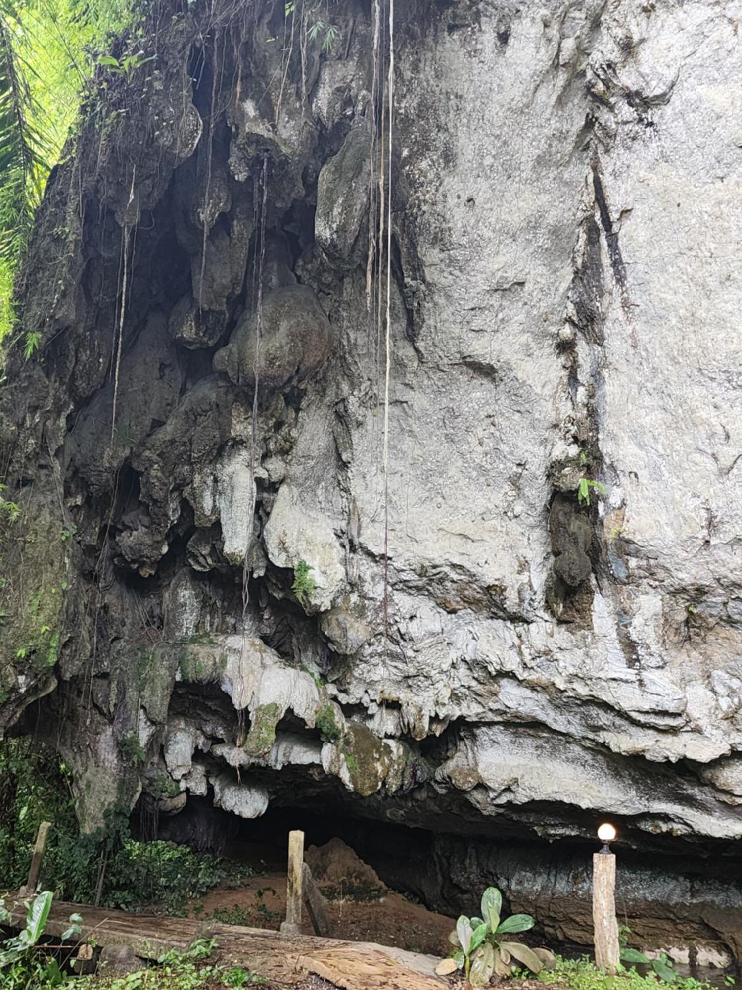 ผาเงิน รีสอร์ท Hotel Khao Sok National Park ห้อง รูปภาพ