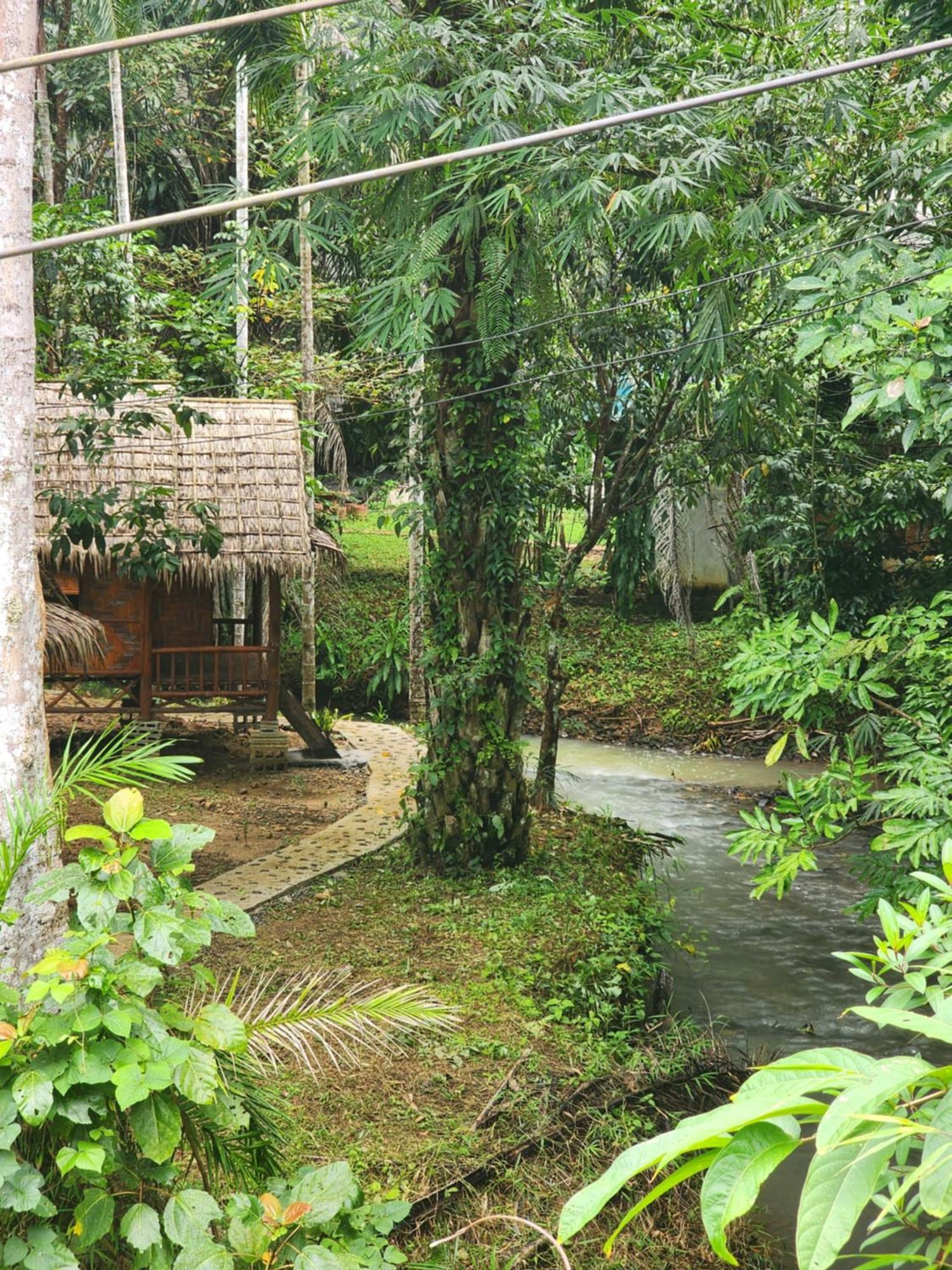 ผาเงิน รีสอร์ท Hotel Khao Sok National Park ห้อง รูปภาพ