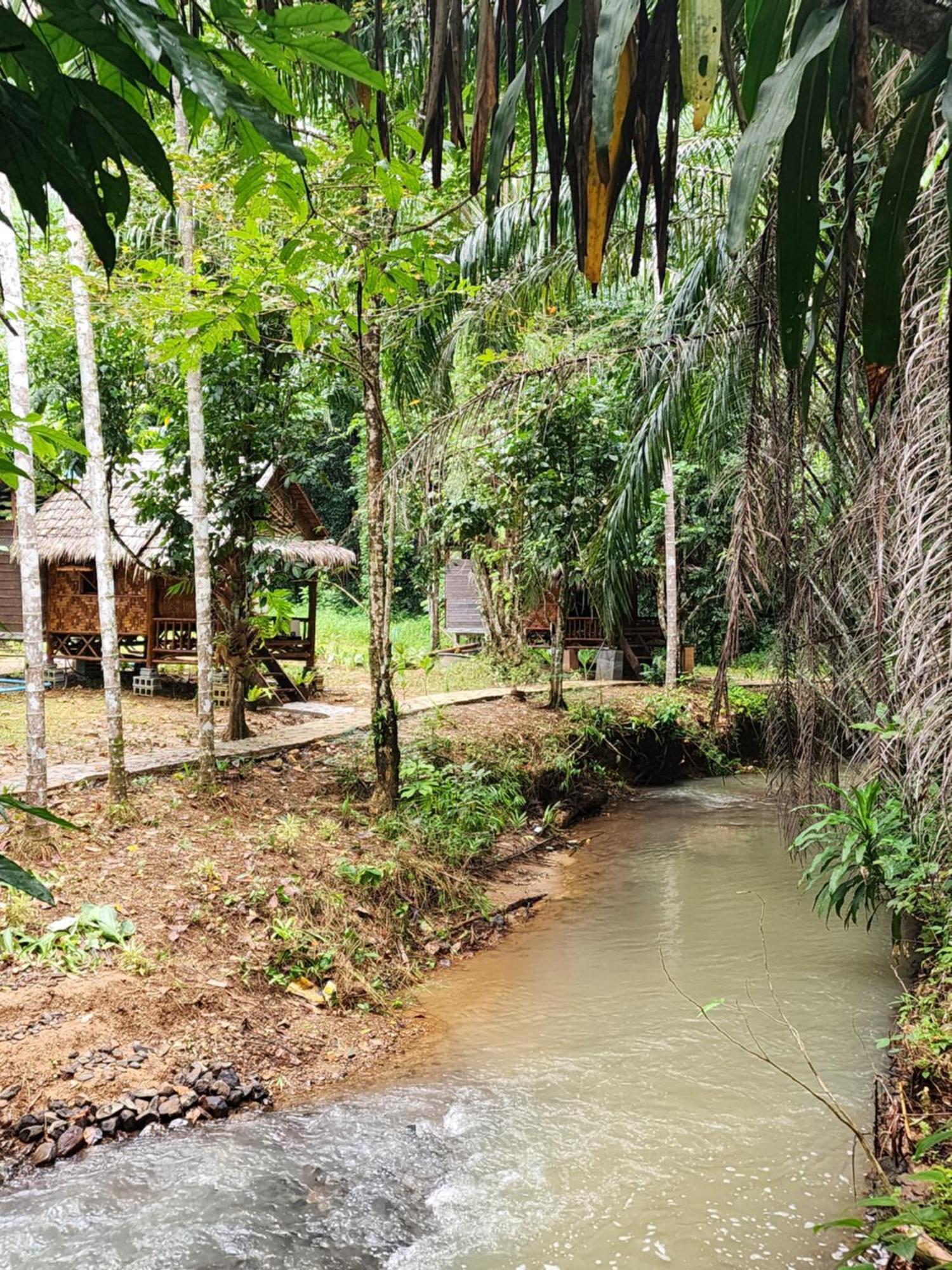 ผาเงิน รีสอร์ท Hotel Khao Sok National Park ห้อง รูปภาพ