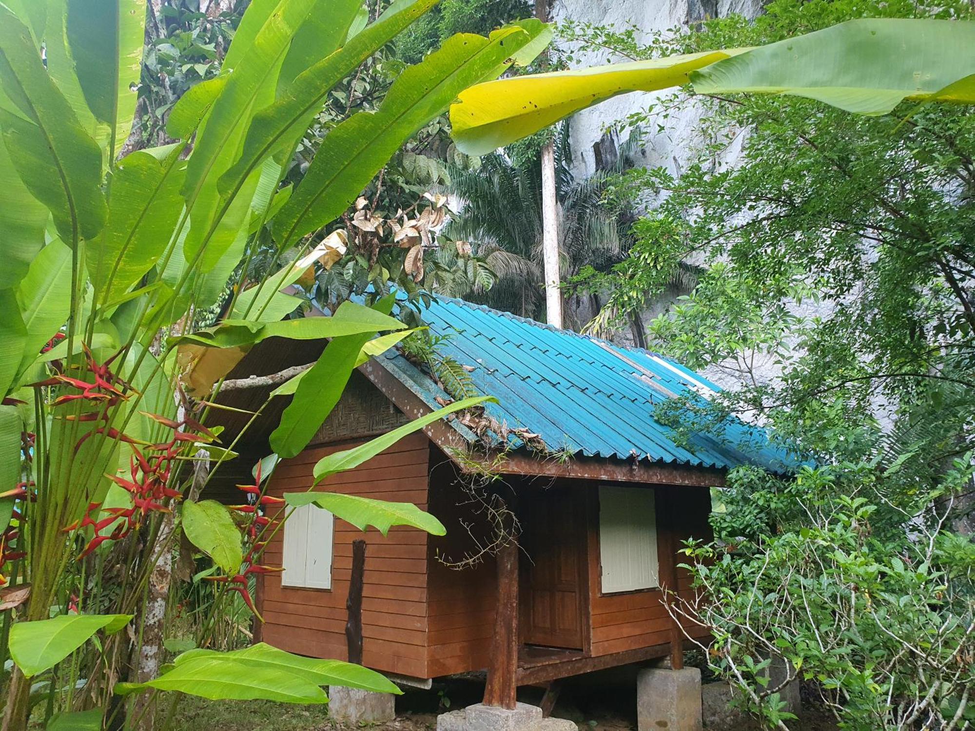 ผาเงิน รีสอร์ท Hotel Khao Sok National Park ห้อง รูปภาพ